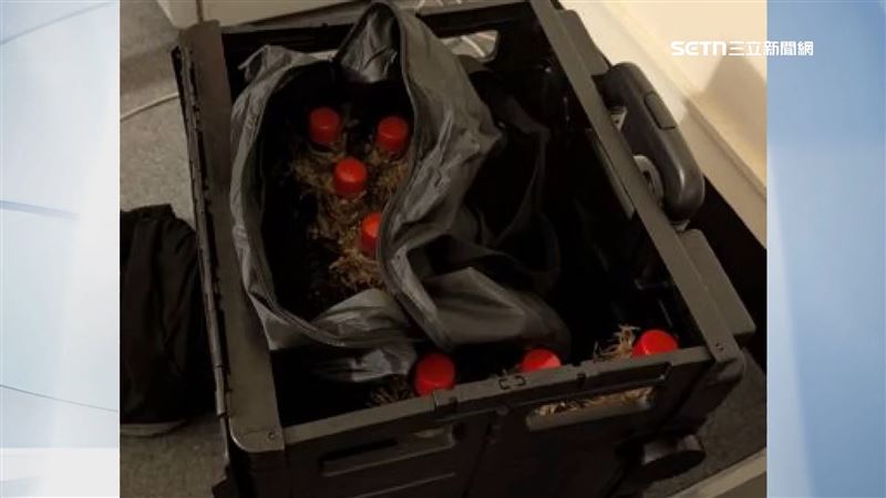 警方在張文住的旅館房間內搜出15瓶汽油彈