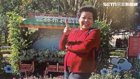 校長變信義媽祖婆　89歲嬤率長輩登小巨蛋（圖／社家署提供）