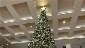 聖誕樹。（圖／記者鄭玉如攝影）
