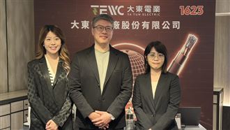 大東電前11月營收創史高　明年1月轉上市