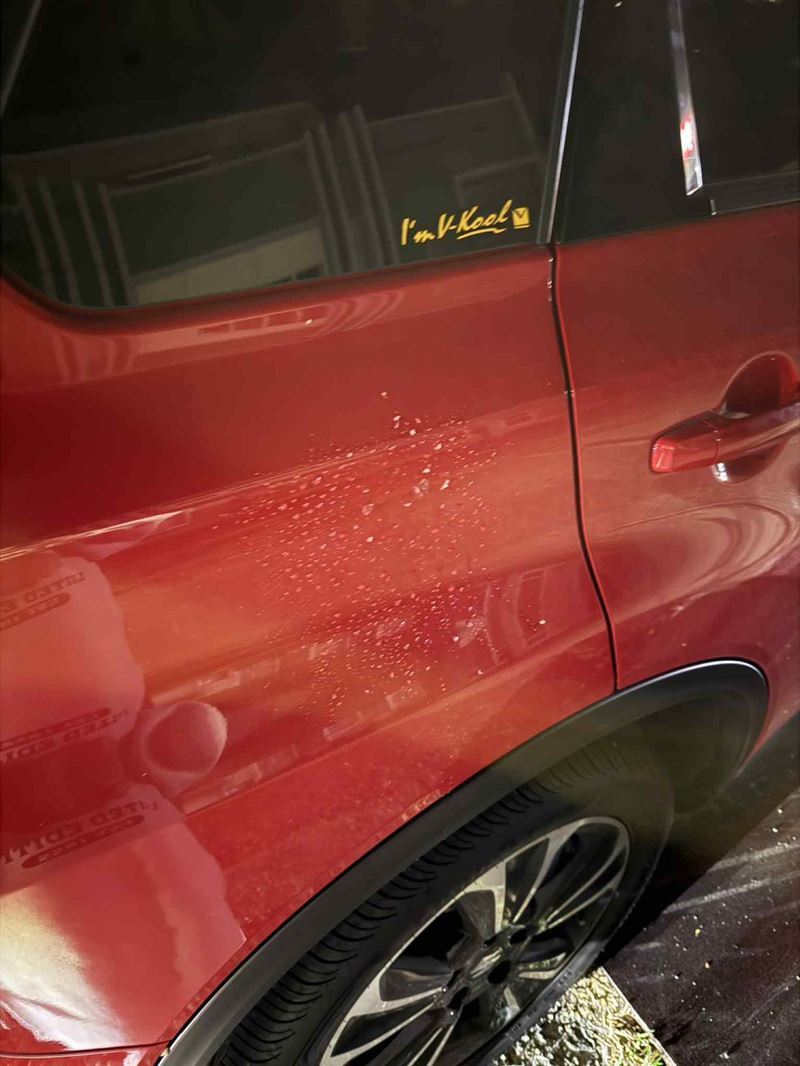 被蓮霧砸中的車輛不滿果肉及汁液。（圖／民眾提供）