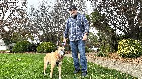 加州飼主吉姆回應寵物抵稅