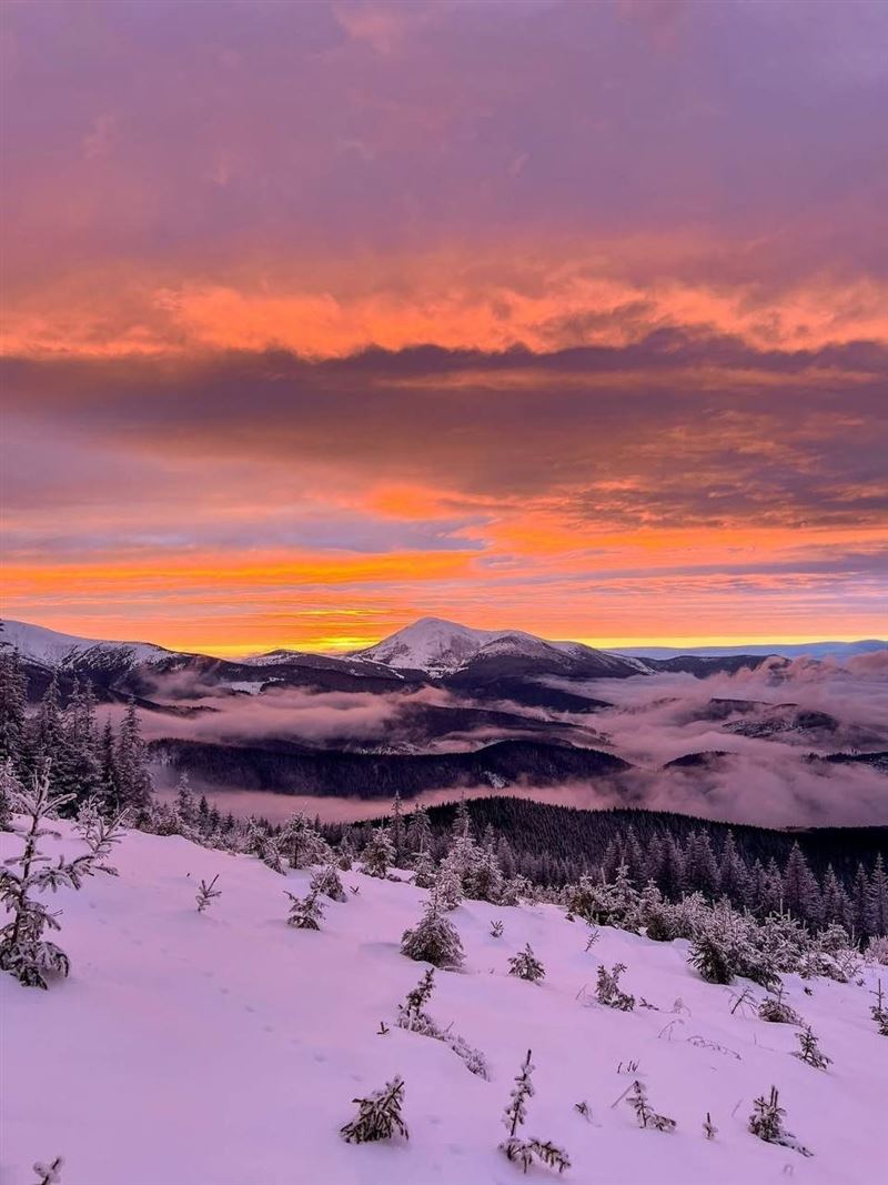 喀爾巴仟山脈。高聳美麗，但惡劣天氣卻成了偷渡客的催命符。（圖／翻攝自X平台 @JohnnyTalkToYou）