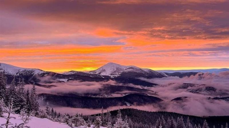 冒死逃兵役！烏克蘭男爬高山逃至羅馬尼亞