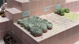 日本爆紅甜甜圈「I'm donut？」陳設惹議　網：像在廁所吃早餐。（圖／翻攝自X平台 @_91mmmsub
）