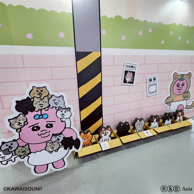 褲褲兔快閃店紙箱貓咪牆。（圖／主辦單位提供）