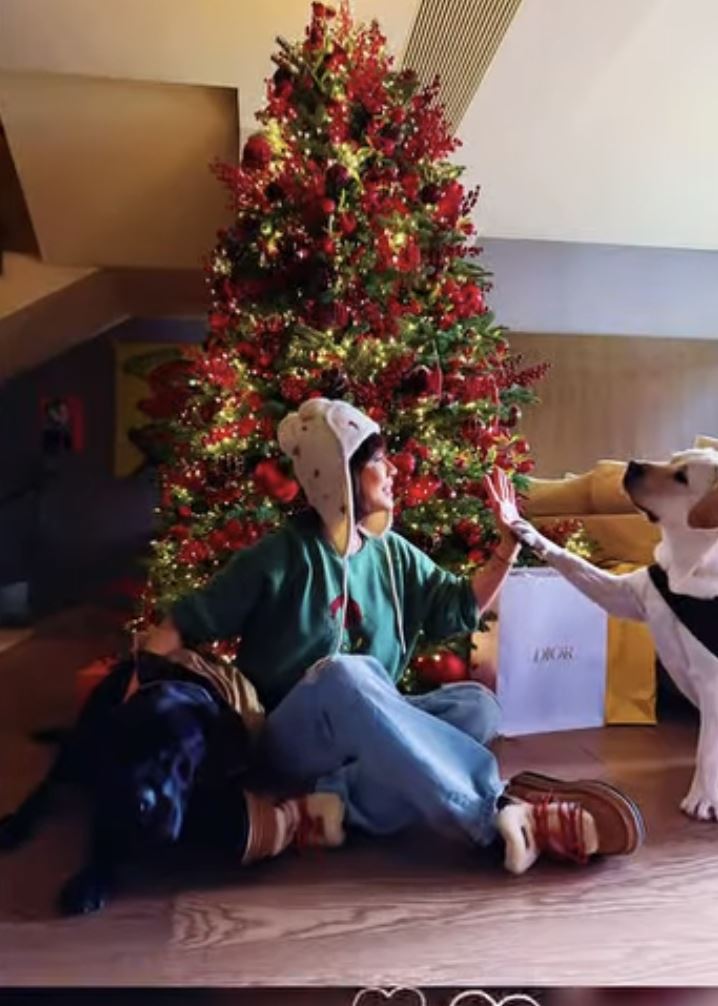 劉嘉玲佈置聖誕氛圍。（圖／翻攝自IG）