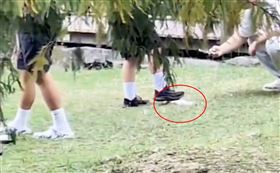 環保局,高雄,學生,生態池,罰鍰,魚,凹子底森林公園（圖／翻攝自社會事新聞影音畫面）