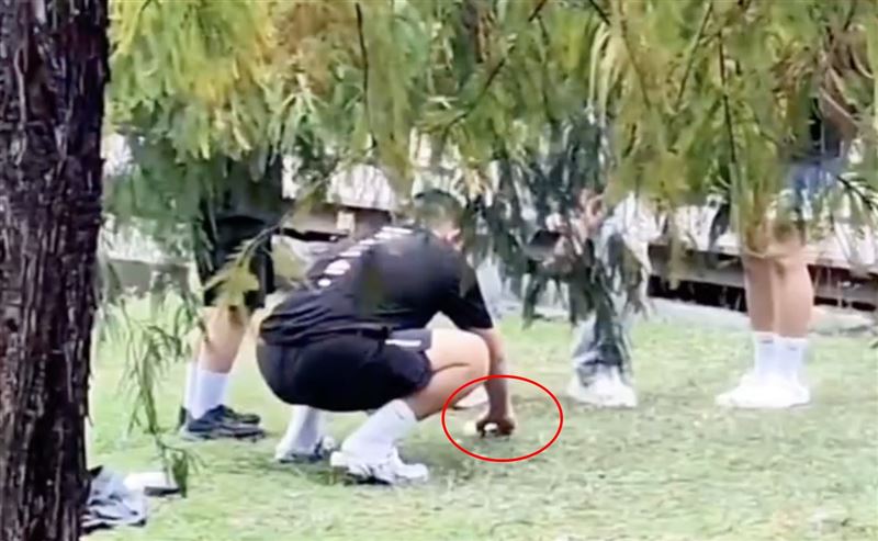 為了確認魚隻是否還沒斷氣，用尖銳物刺激牠。（圖／翻攝自社會事新聞影音畫面）