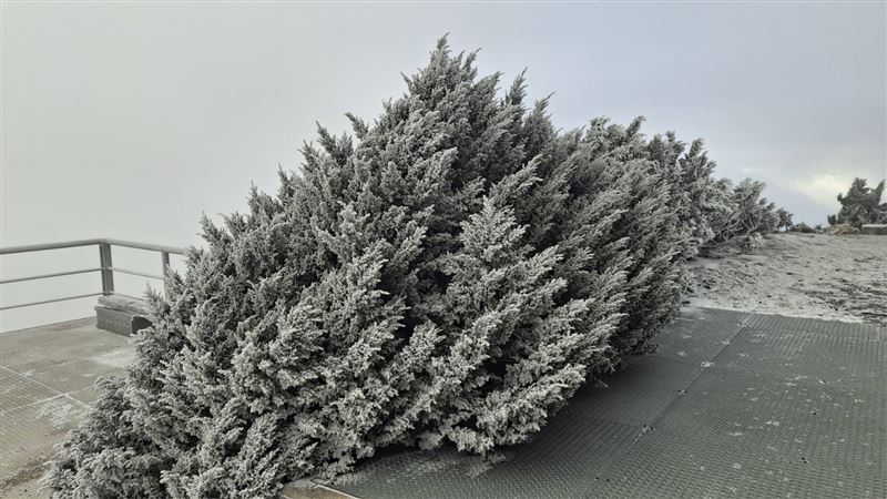 冷氣團發威，玉山北峰今早下雪了。（圖／中央氣象署）