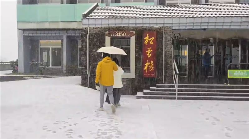 冷氣團發威，合歡山今(26)日清晨6點多下起冰霰與冰雹。(圖／松雪樓提供)