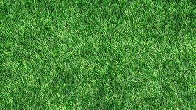 環境部與 104 人力銀行揭露，台灣綠領人才缺口 8 年暴增 278%，逼近 3 萬大關！其中 AI 結合綠領的工作數更成長近 4 倍。數據顯示，具備專業證照與實作經驗者，年薪上看 200 萬元，且近五成職缺不限科系，顯示綠領已成為跨產業轉型、獲取超額報酬的「金飯碗」首選。（示意圖／PIXABAY）