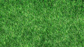 綠領變身金飯碗！年薪上看200萬