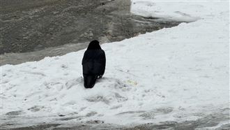 東亞陷「極寒地獄」日恐爆大雪 南韓-20度