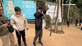 壽山獼猴搶雞蛋糕　小朋友嚇壞狂尖叫