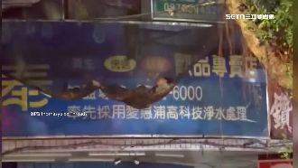 30歲女夜睡防護網　警揭真相：墜樓昏迷