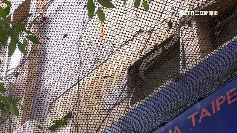 很多老舊公寓都會在外圍架起防護網