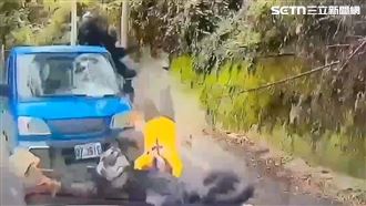 重機夫妻遊梨山遭貨車猛撞！驚悚畫面曝光