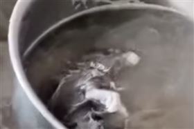 加湯發現白色漂浮物！一撈竟是：白骨燉鼠（圖／翻攝微博）