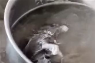 加湯發現白色漂浮物！一撈竟是：白骨燉鼠