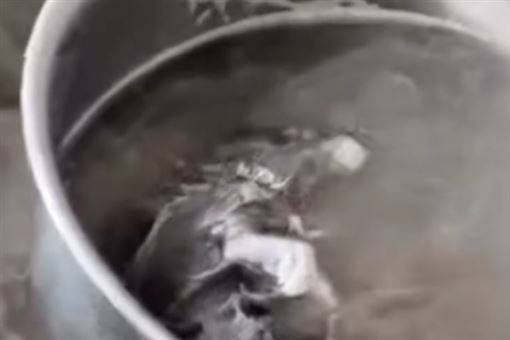 加湯發現白色漂浮物！一撈竟是：白骨燉鼠