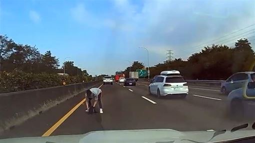 黑狗挨撞癱國道！2車主暖心救援畫面曝光