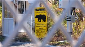 日本政府全力提升預防熊害警戒。（圖／美聯社／達志影像）