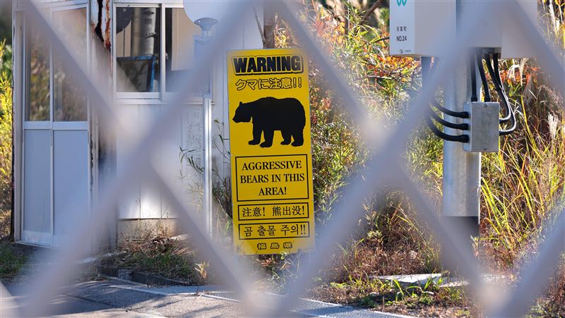 日本政府全力提升預防熊害警戒。（圖／美聯社／達志影像）