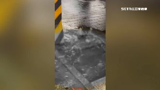 獨／水溝變小噴泉　士林夜市穢水噴整路