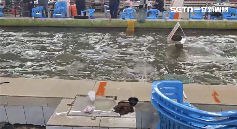 網友也拍下當時地震時的畫面，釣蝦場內的吊燈劇烈晃動，伴隨著金屬碰撞與人群的驚呼聲。（圖／網友授權提供）