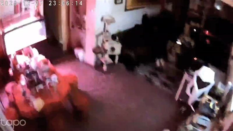 地震強到連監視器畫面都是殘影模糊不清。（圖／翻攝畫面）