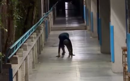 一名網友深夜行經新北市秀朗國小時，驚見阿北以「四肢著地爬行」的詭異畫面。（圖／網友pigfox5566授權提供，未經同意請勿轉載）