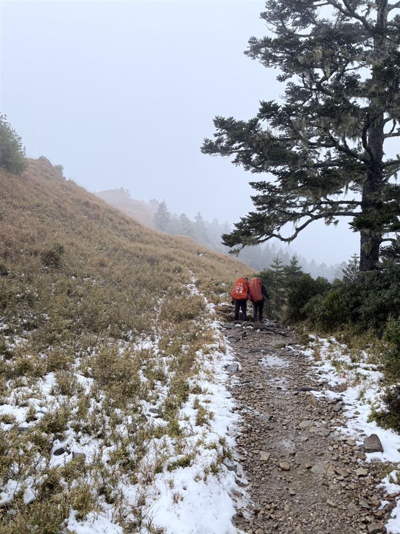 登山隊失溫受困，消防隊員徒步挺進救援。（圖／翻攝畫面）