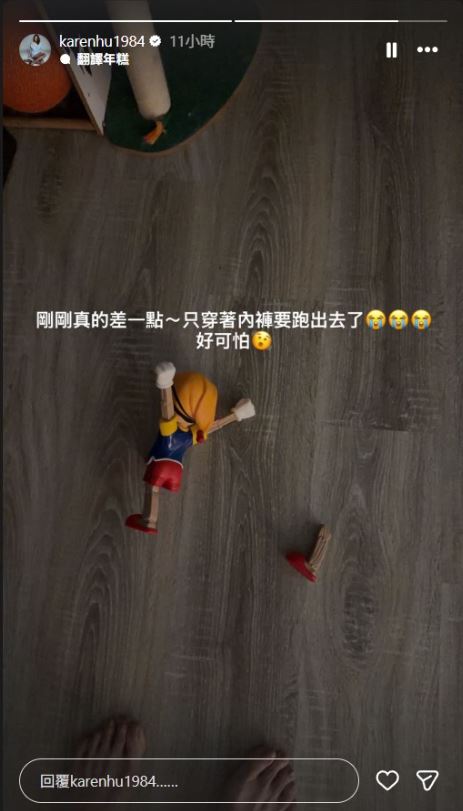 小禎在IG限時動態發出家中的玩偶受損情況。（圖／翻攝自IG）