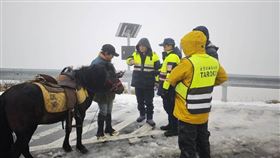 武嶺驚見「白馬王子」賞雪　耍帥下場超慘（圖／太管處提供）