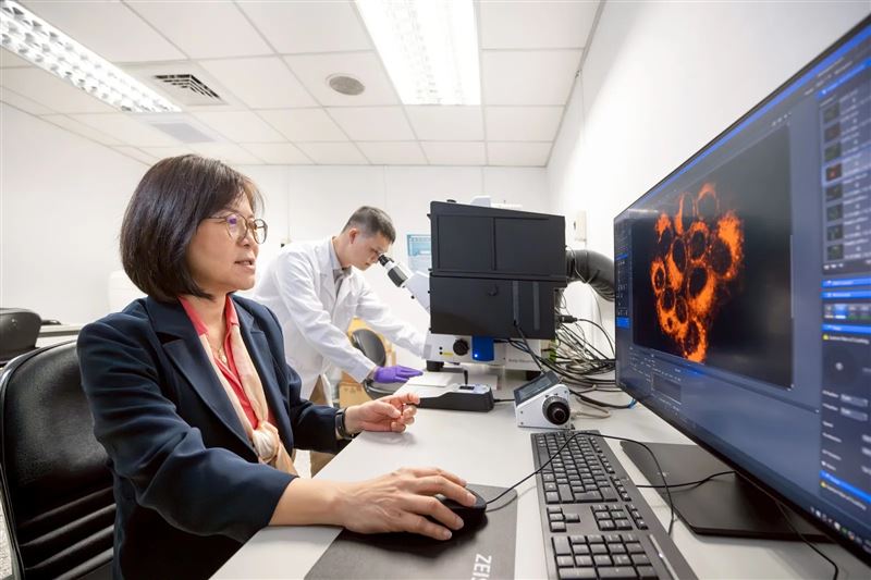 清華大學生科系教授王雯靜(前)與博士後研究員陳粲然提出「GSH–PKM2–SLC7A11」代謝軸線,為誘導癌細胞自我崩解提供新的治療策略。(圖/清華大學提供)