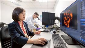 清華大學生科系教授王雯靜（前）與博士後研究員陳粲然提出「GSH–PKM2–SLC7A11」代謝軸線，為誘導癌細胞自我崩解提供新的治療策略。（圖／清華大學提供）