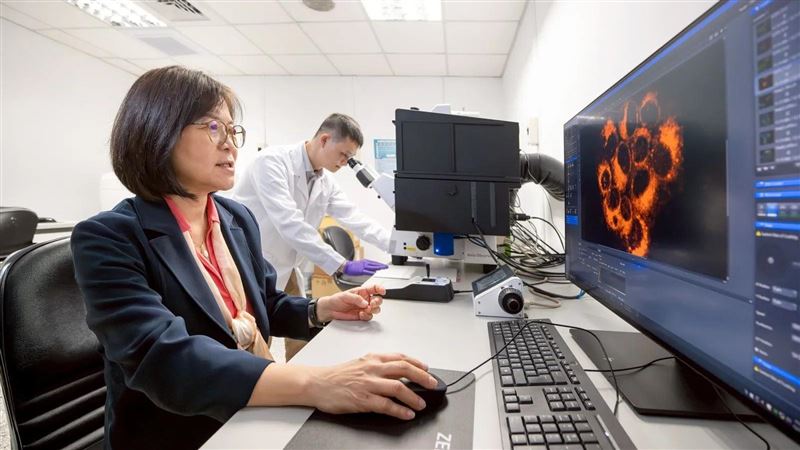 清大破解癌細胞弱點　誘發腫瘤自我毀滅