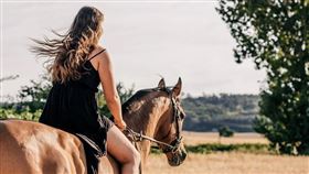 ▲馬（示意圖／翻攝自pixabay）