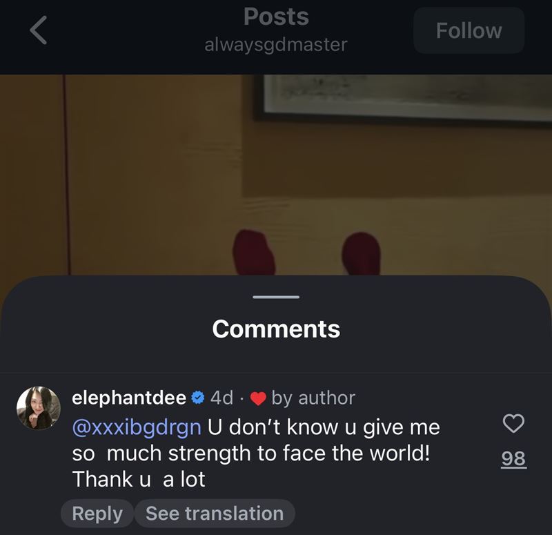 小S留言表達對GD的愛。（圖／翻攝自IG）