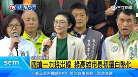 綠營初選激烈　林岱樺鳳山造勢大會登場
