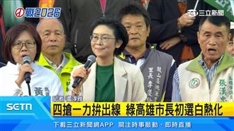 綠營初選激烈　林岱樺鳳山造勢大會登場