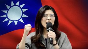 顏擇雅直批，台灣有這樣的國民黨，才真是倒了八輩子的霉。（圖／翻攝自鄭麗文臉書）