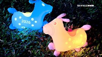 網酸「懷舊組合」現實曝！2千個提燈秒殺