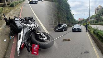 猴子竄路中被撞喪命　HONDA重機騎士慘摔