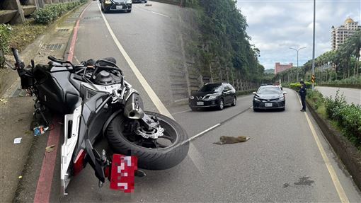 猴子竄路中被撞喪命　HONDA重機騎士慘摔