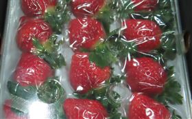 日本出口「鮮草莓(FRESH STRAWBERRY)」檢出農藥殘留含量不符規定。（圖／食藥署提供）