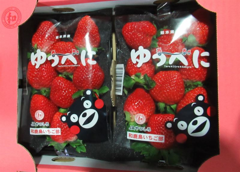 食藥署公布邊境不合格品項，3批日本鮮草莓與1批馬來西亞板麵辣椒檢出農藥殘留超標，皆已退運或銷毀。（圖／食藥署提供）