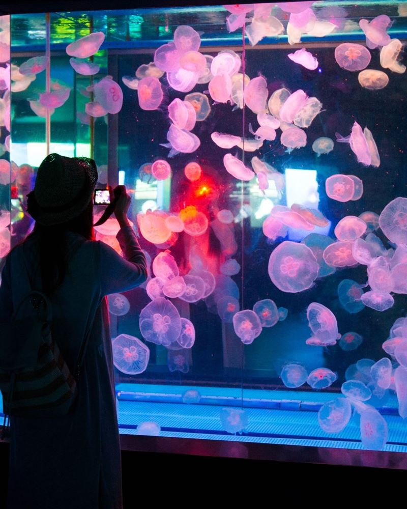 台灣25-44歲的女性族群在規劃韓國旅遊時，越來越重視「體驗感」與「差異化」。（圖／翻攝自Let's go多彩京畿道）