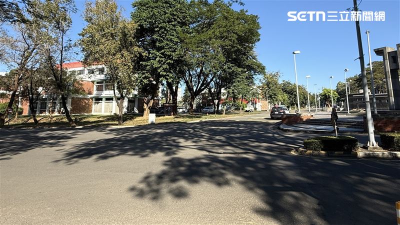 黑狗擊落女大生！她趴地慘摔…險遭公車輾